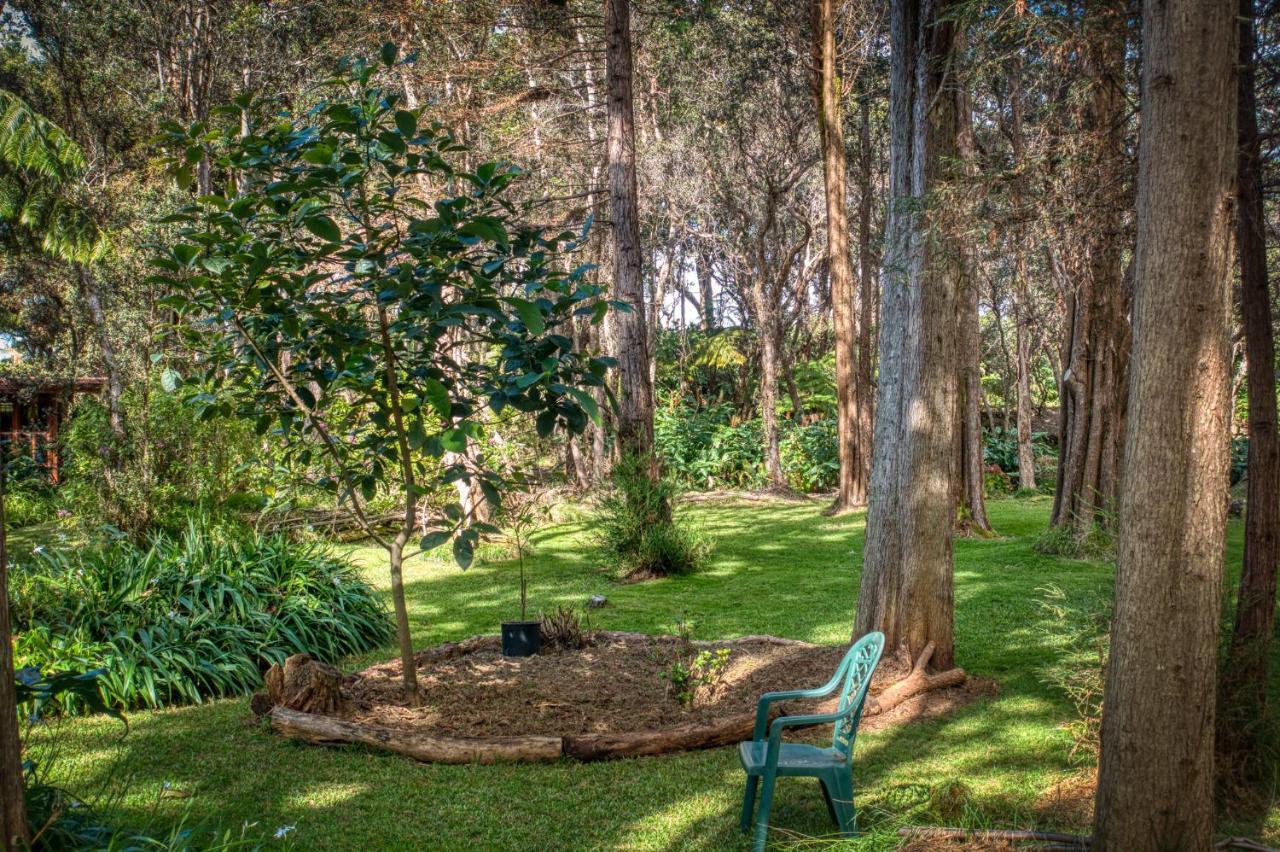 Crater Rim Cabin Otel Volcano Dış mekan fotoğraf